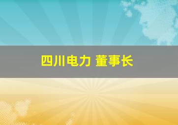 四川电力 董事长